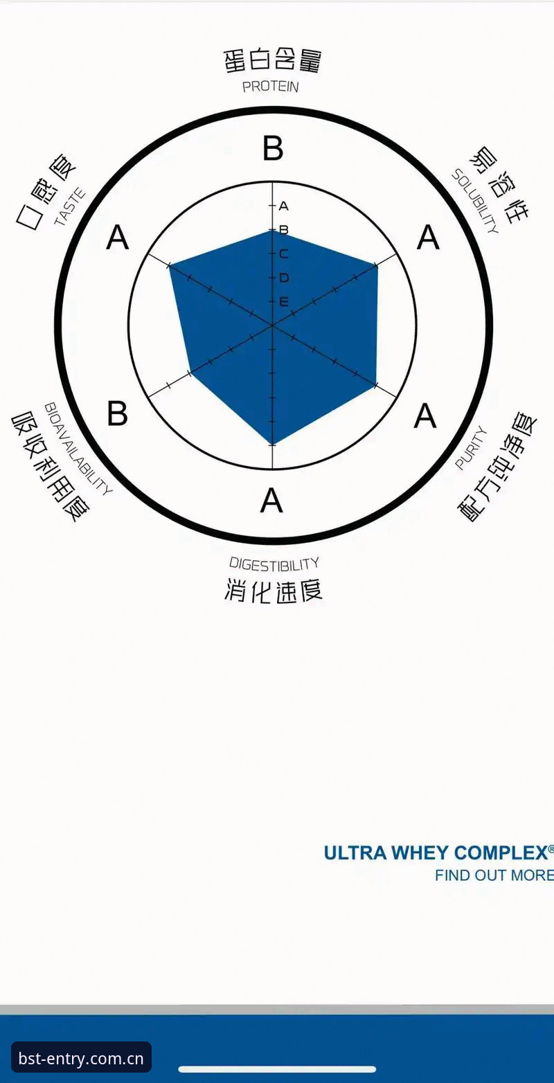 BST官网最新版上线：B体育平台入口迎来全面升级，用户体验实测反馈来了